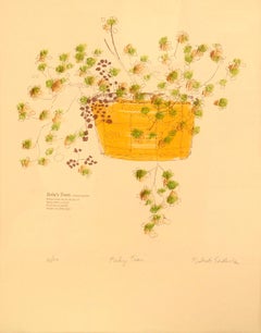 "Baby's Tears", Hand Augmented 1970s Botanical Screenprint, 96/270