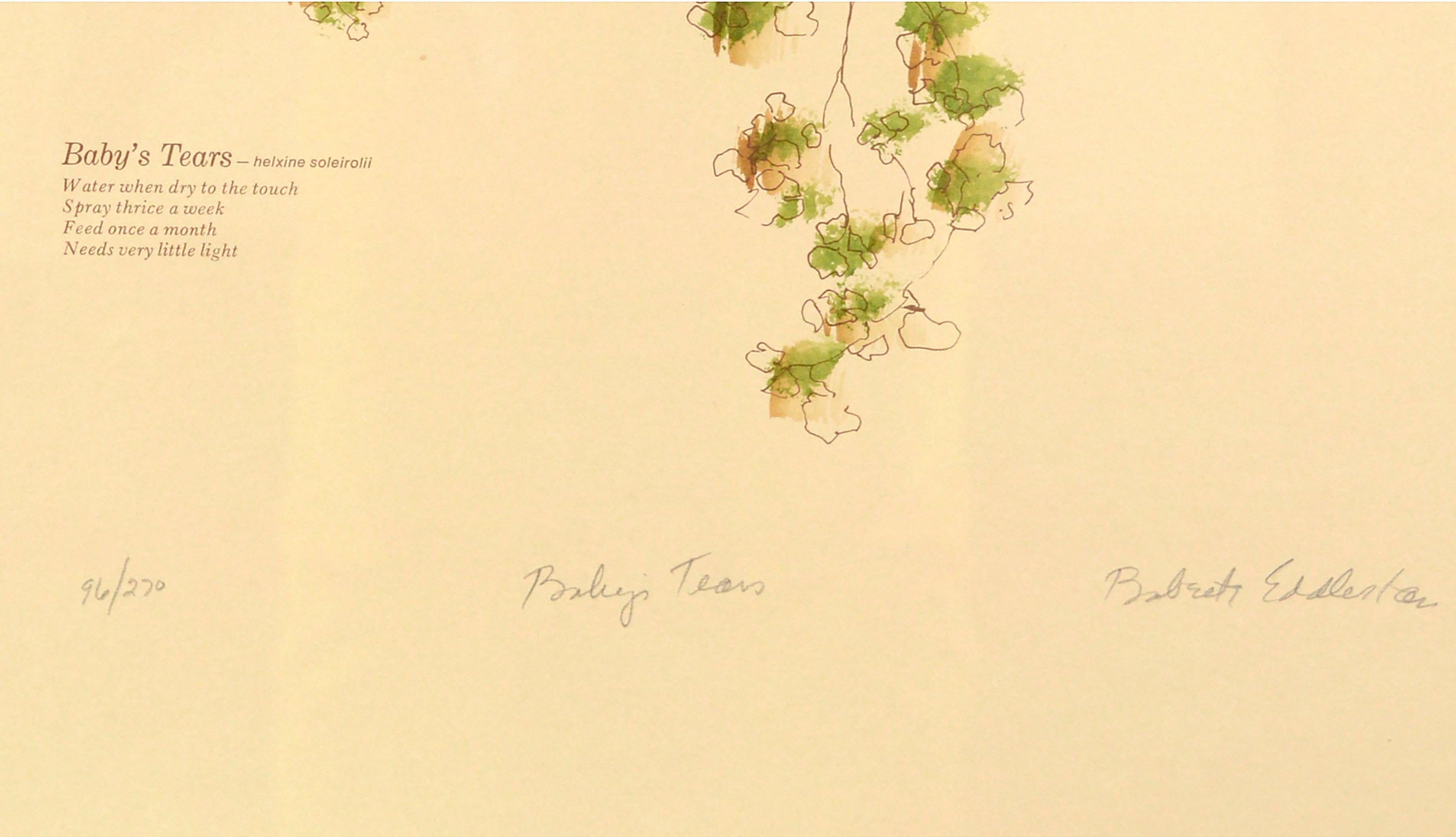 « Baby's Tears », sérigraphie botanique créée à la main dans les années 1970, 96/270 - Beige Still-Life Print par Babette Eddleston