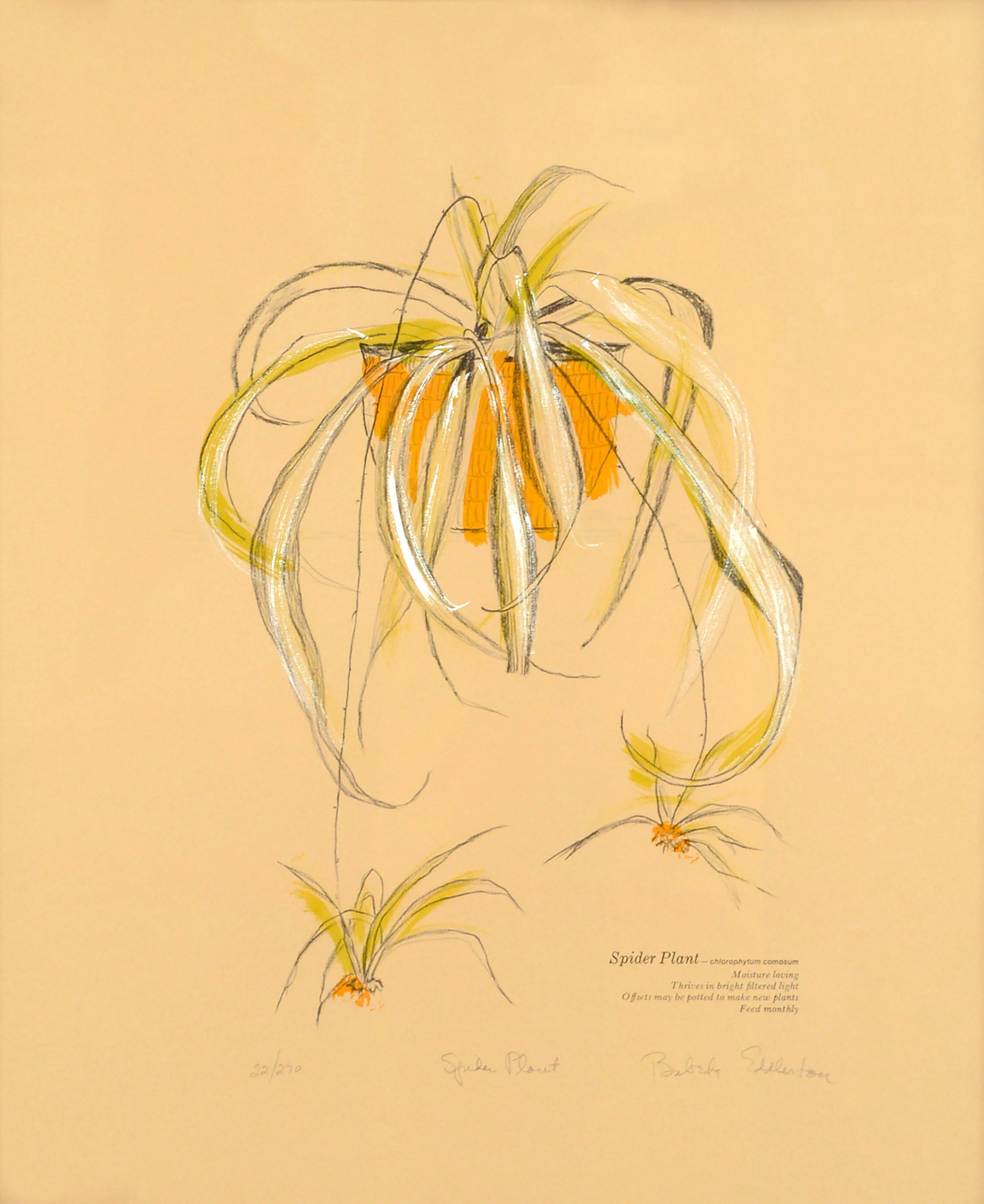 Paravent botanique « Spring Plant », sérigraphie réalisée à la main dans les années 1970, 22/270 - Print de Babette Eddleston