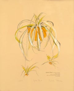 "Spider Plant", Hand Augmented 1970s Botanical Screenprint, 22/270