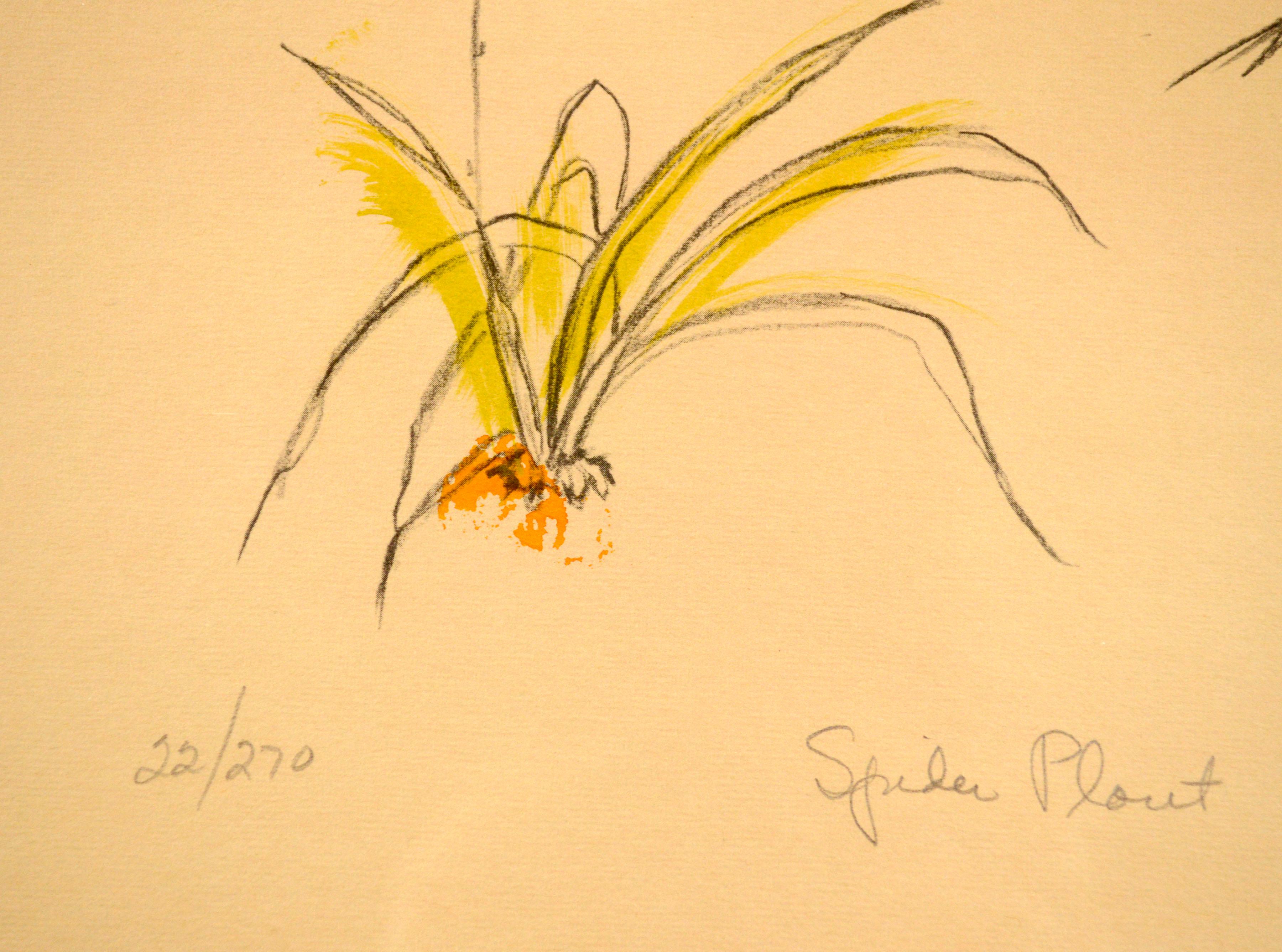 „Spider Plant“, handgefertigter botanischer Siebdruck aus den 1970er Jahren, 22/270 (Beige), Still-Life Print, von Babette Eddleston