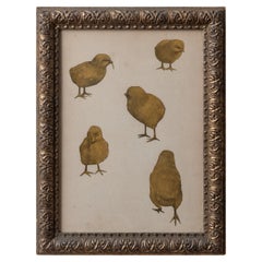 Baby Chick Collage, c.1900