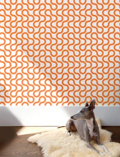Baby Designer Wallpaper in Color Sunkist 'Pumpkin Orange on Pale Grey'