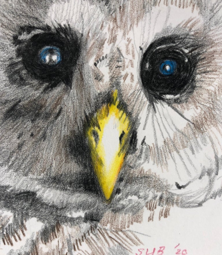 Modern Baby Owl, Colored Pencil Drawing of a Fledgling Screech Owl, Matted and Framed