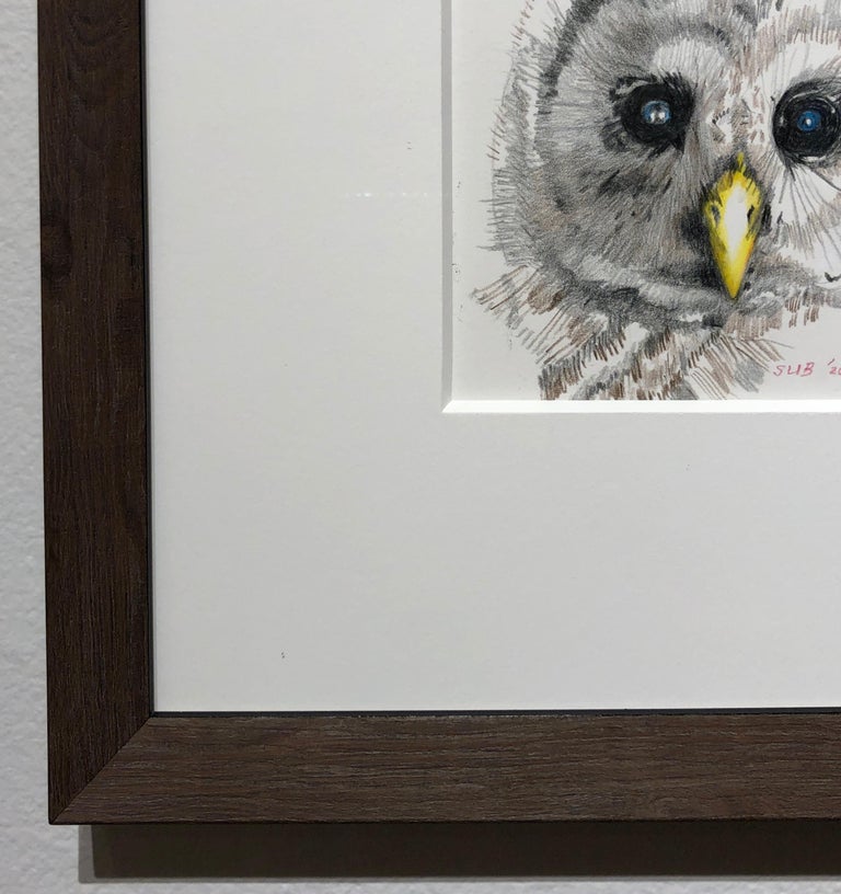 Hand-Crafted Baby Owl, Colored Pencil Drawing of a Fledgling Screech Owl, Matted and Framed