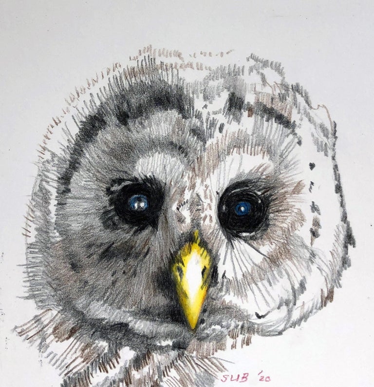 Contemporary Baby Owl, Colored Pencil Drawing of a Fledgling Screech Owl, Matted and Framed