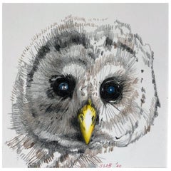 Bébé hibou:: dessin au crayon de couleur d'un petit hibou des marais:: avec cadre et passe-partout