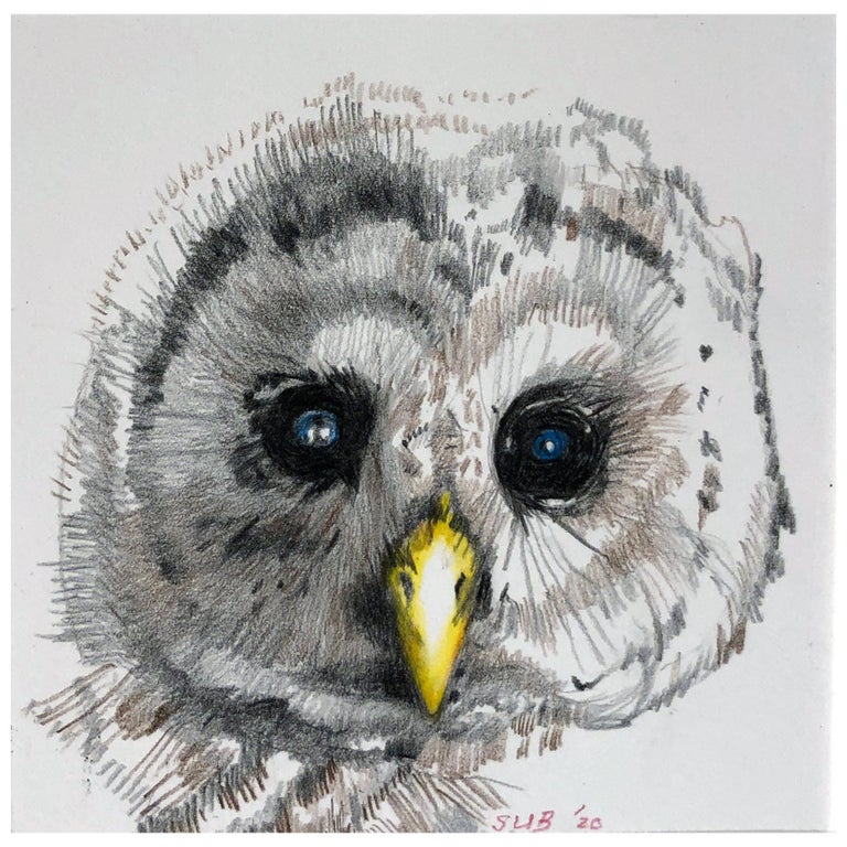 Baby Owl, Colored Pencil Drawing of a Fledgling Screech Owl, Matted and Framed