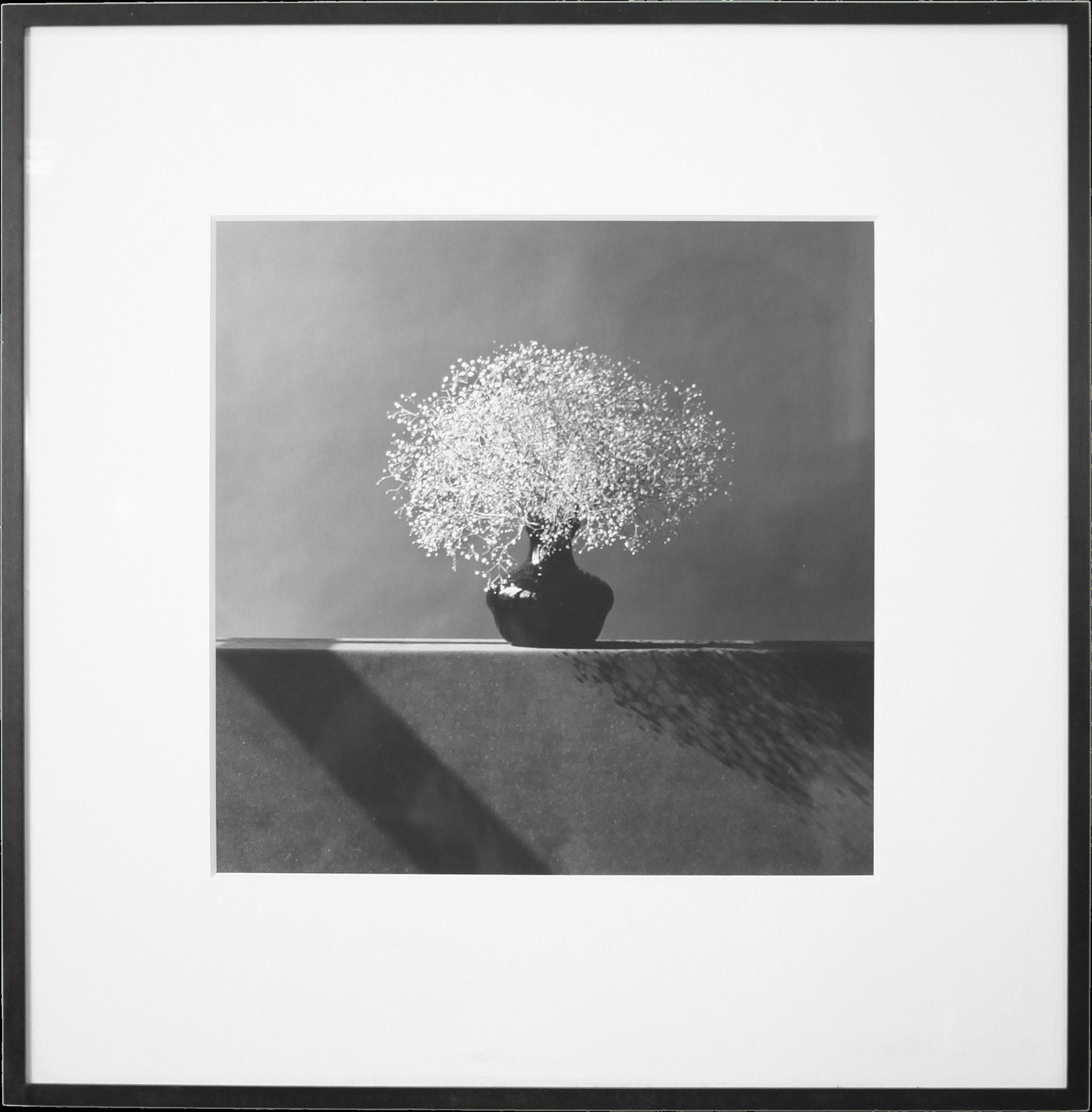 Robert Mapplethorpe est sans aucun doute un père fondateur de la photographie moderne. Grâce à ses images iconiques en noir et blanc, Mapplethorpe a gagné à la fois la reconnaissance et l'infamie avec son travail souvent controversé. Les thèmes de