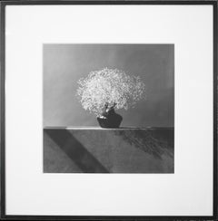 Robert Mapplethorpe Baby's Breath 1/10