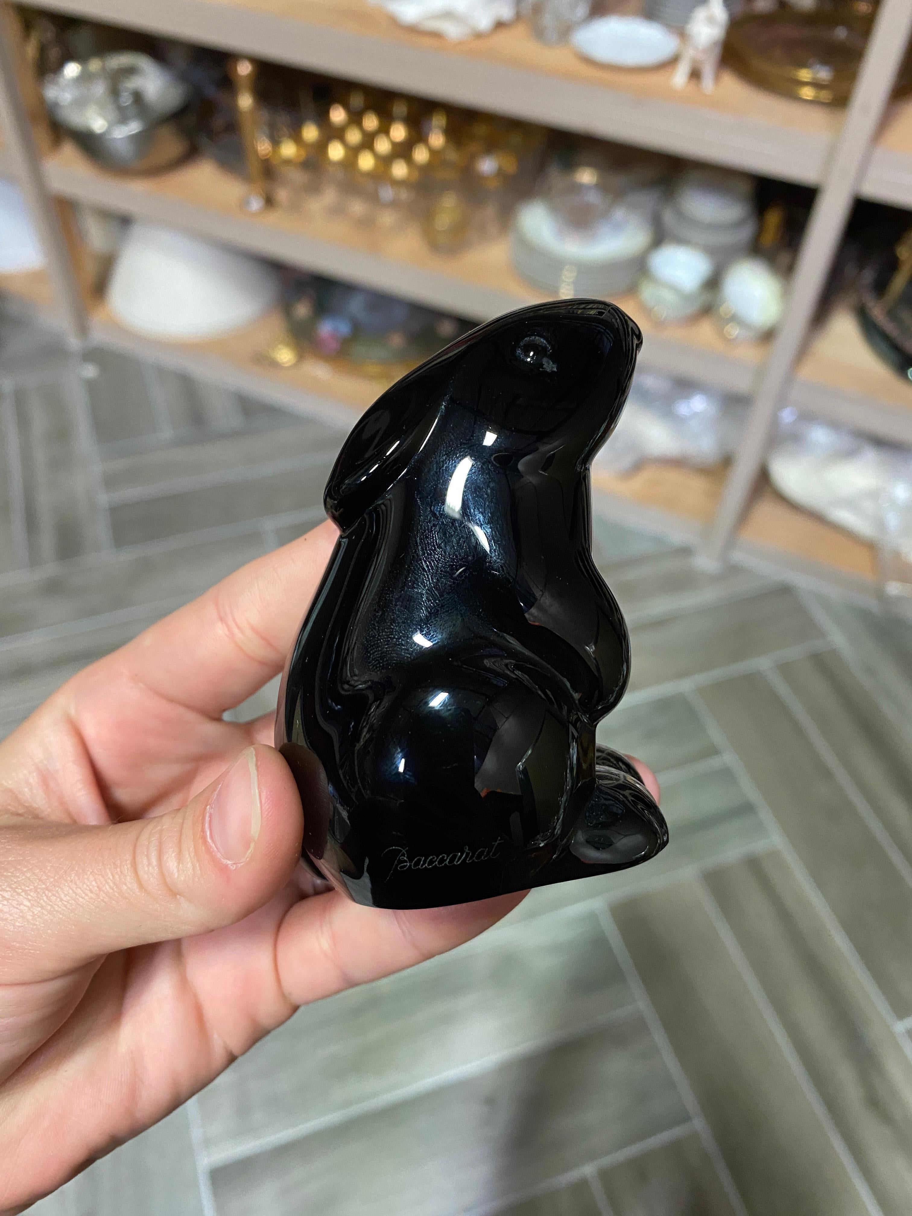 baccarat black rabbit