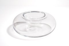 Baccarat Minimalist Caviar Set