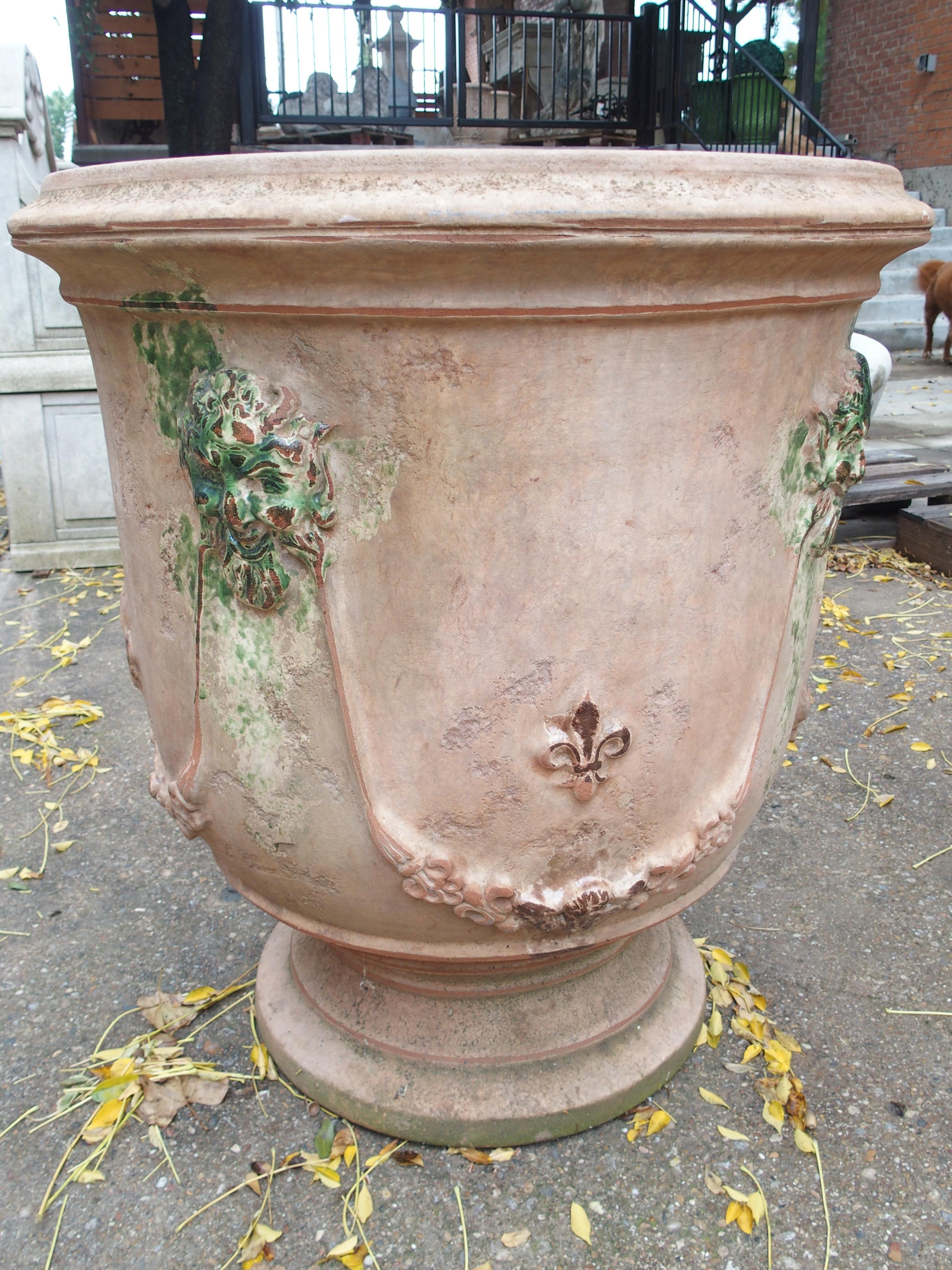 Fioriere Bacchus et Fauna grandi Anduze anticate con decoro Fleur De Lys in vendita 3