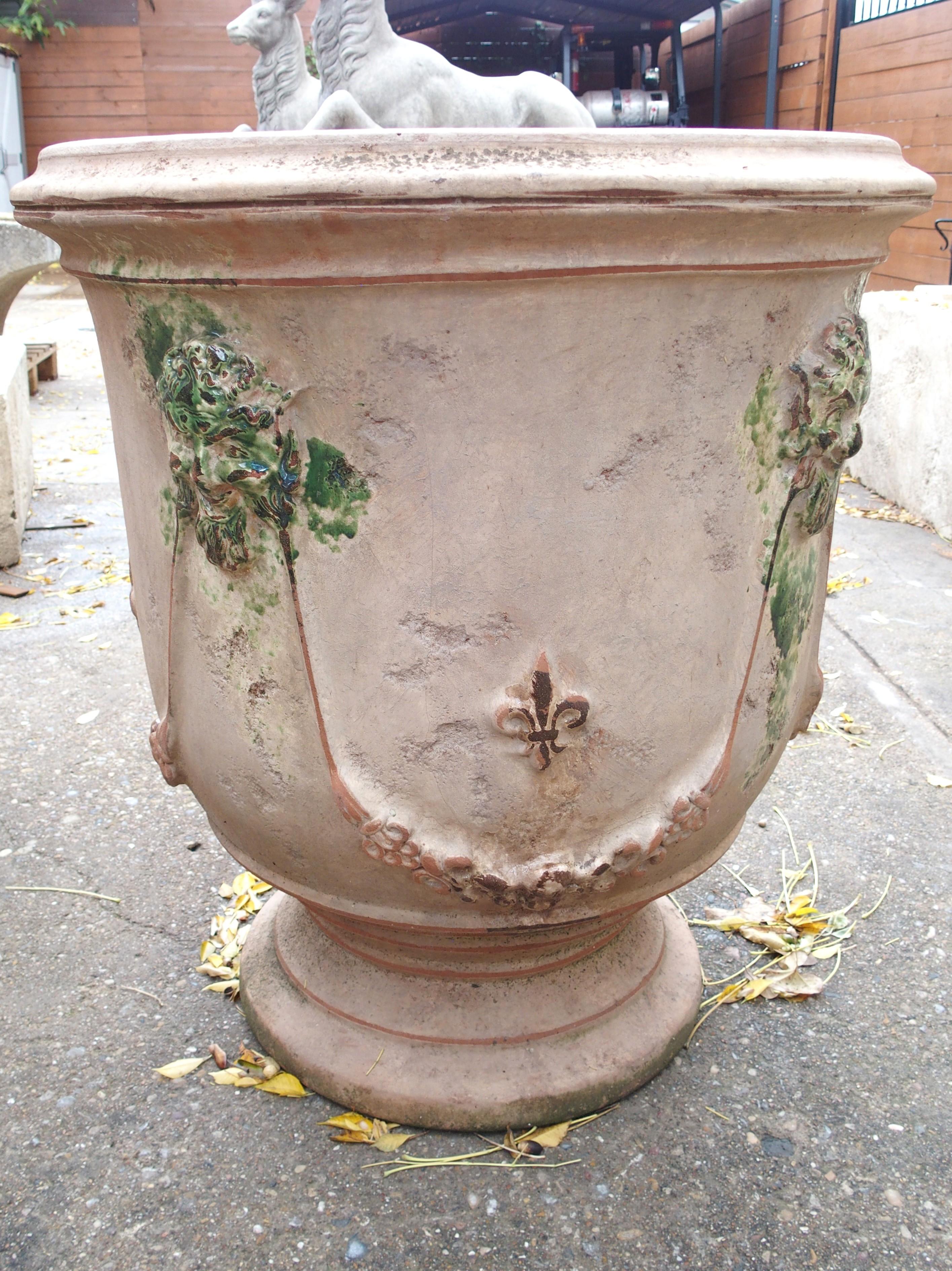 Fioriere Bacchus et Fauna grandi Anduze anticate con decoro Fleur De Lys in vendita 11