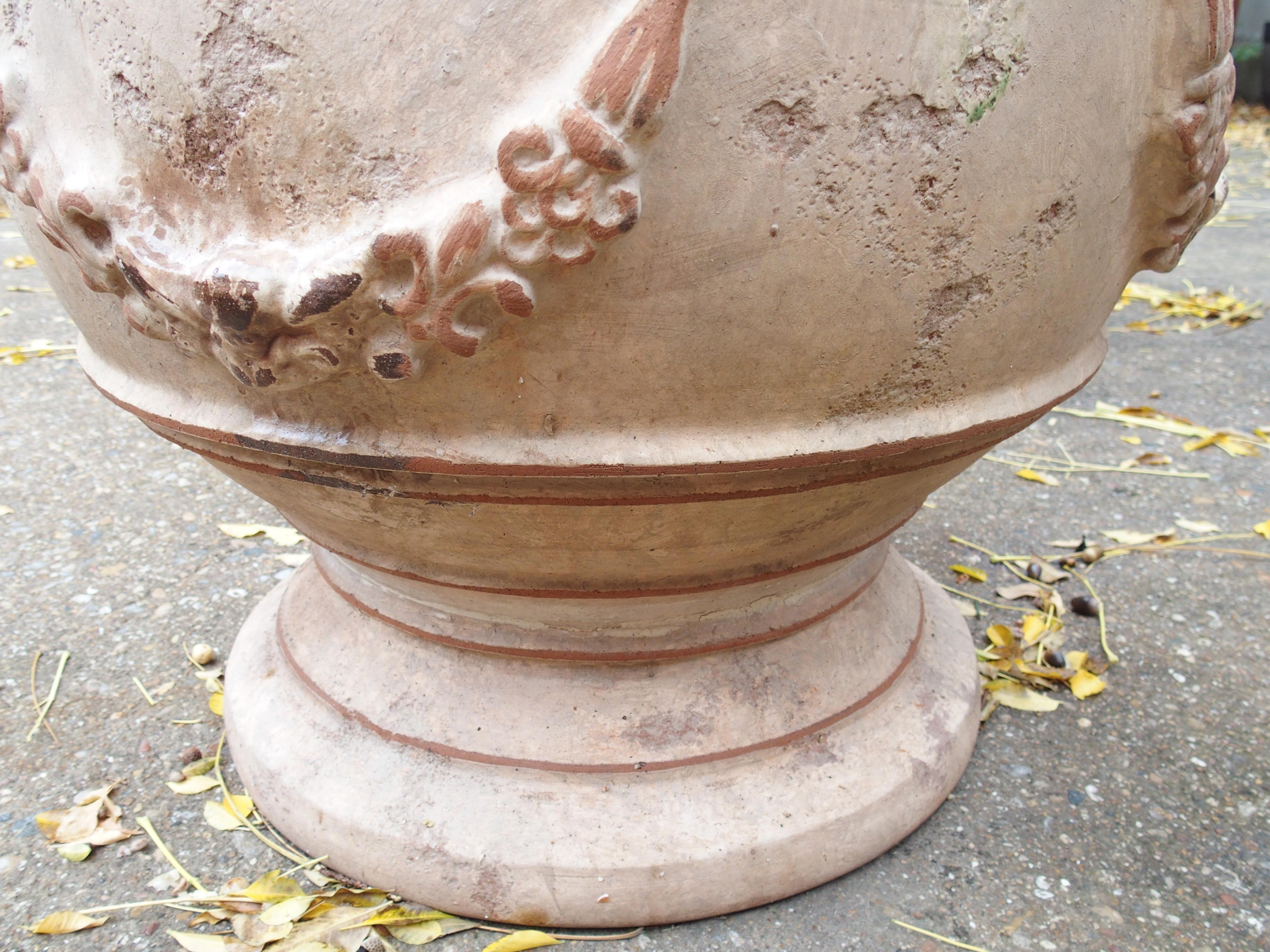 Terracotta Fioriere Bacchus et Fauna grandi Anduze anticate con decoro Fleur De Lys in vendita
