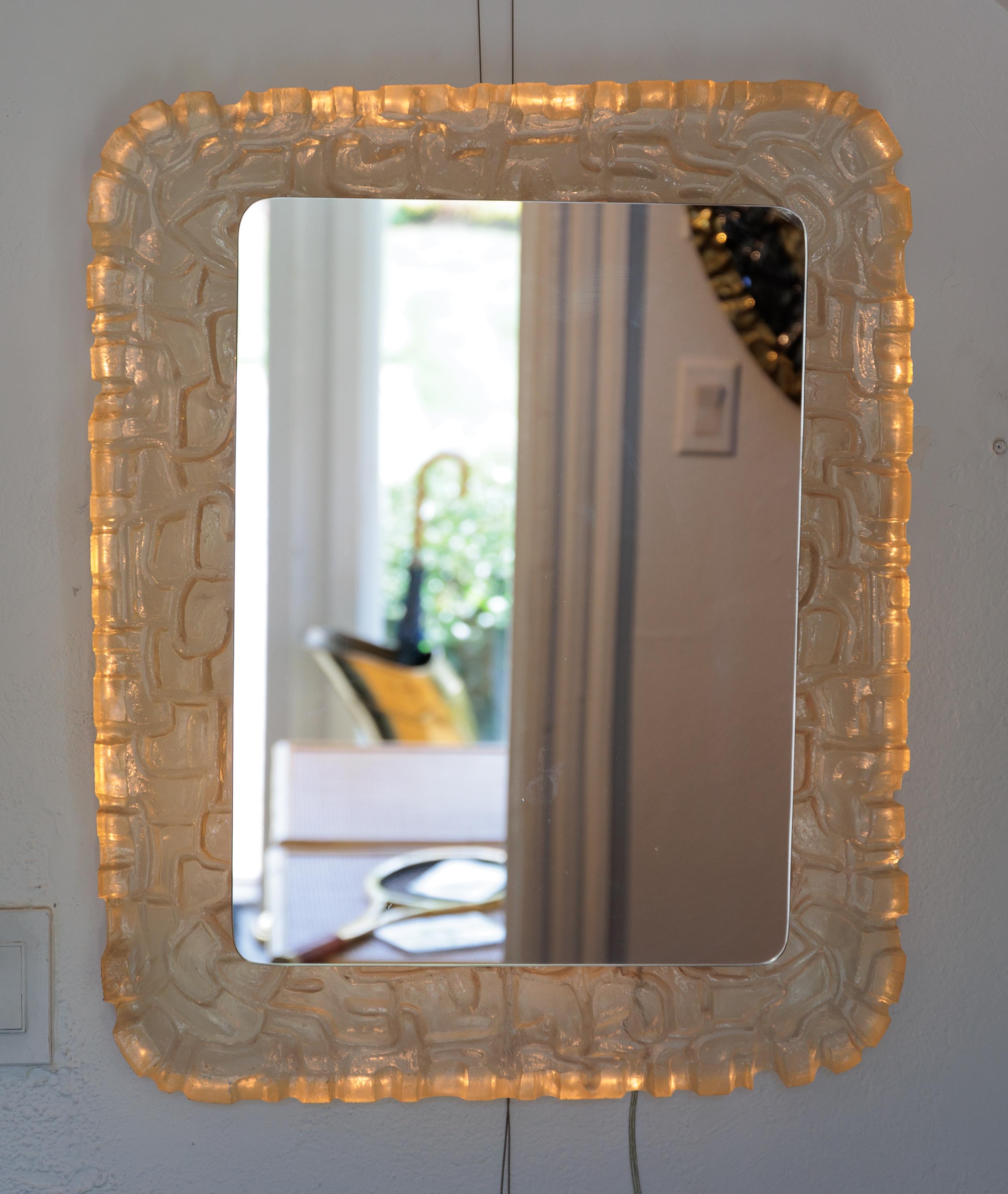 Back-Lite Mirror with Resin Surround For Sale 2