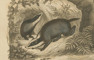 Badger and Otter Hunt, Antique German Engraving, circa 1840, view 4