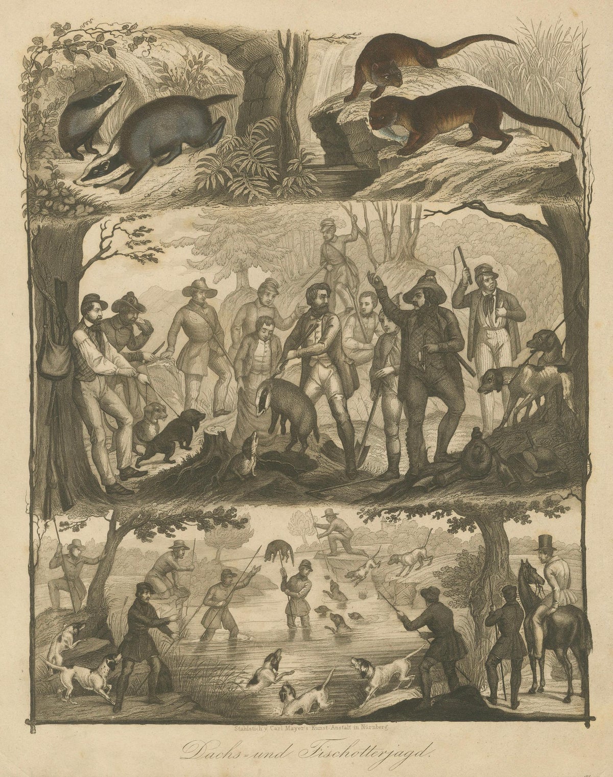 Badger and Otter Hunt, Antique German Engraving, circa 1840
