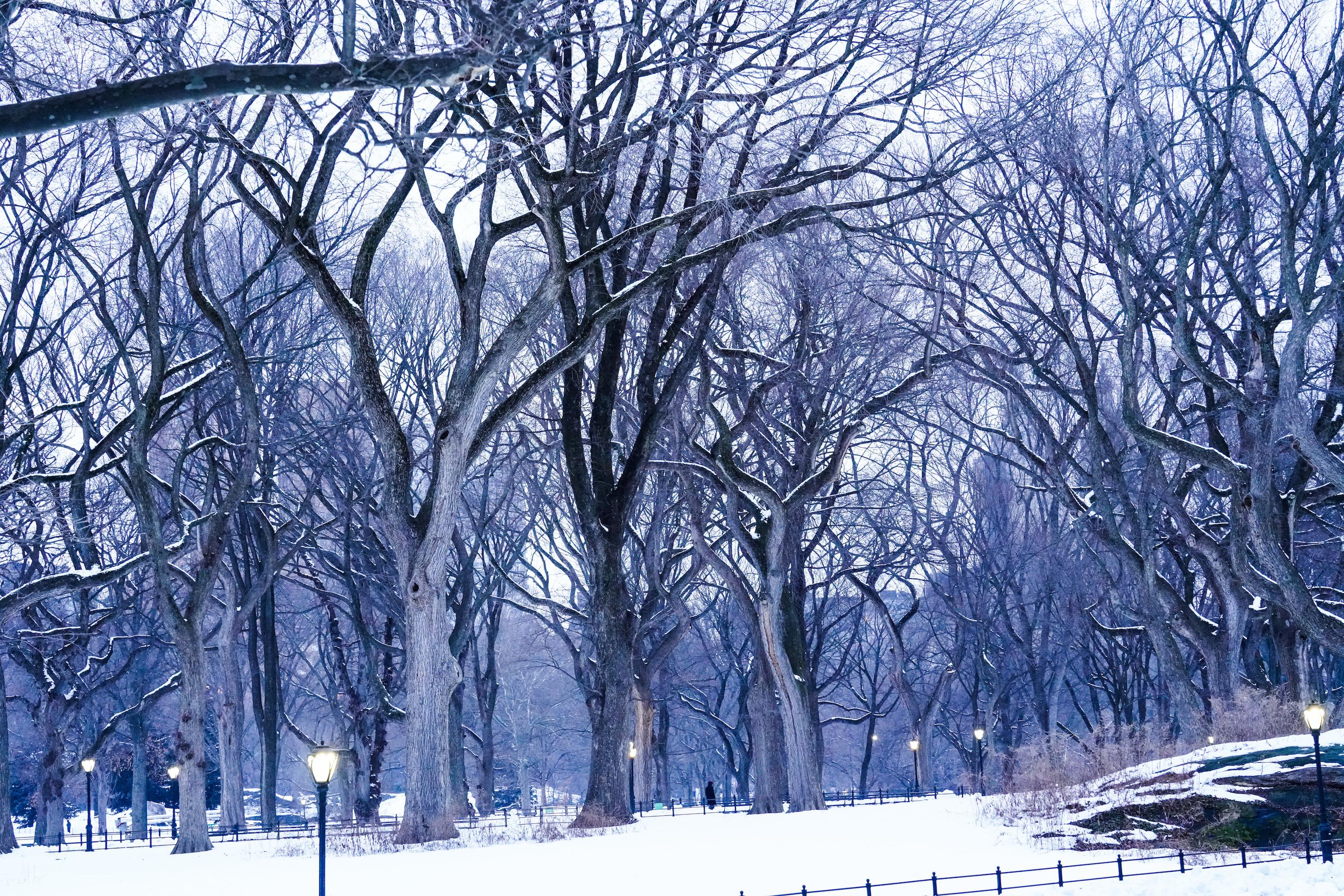Peinture de la neige