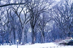 Peinture de la neige