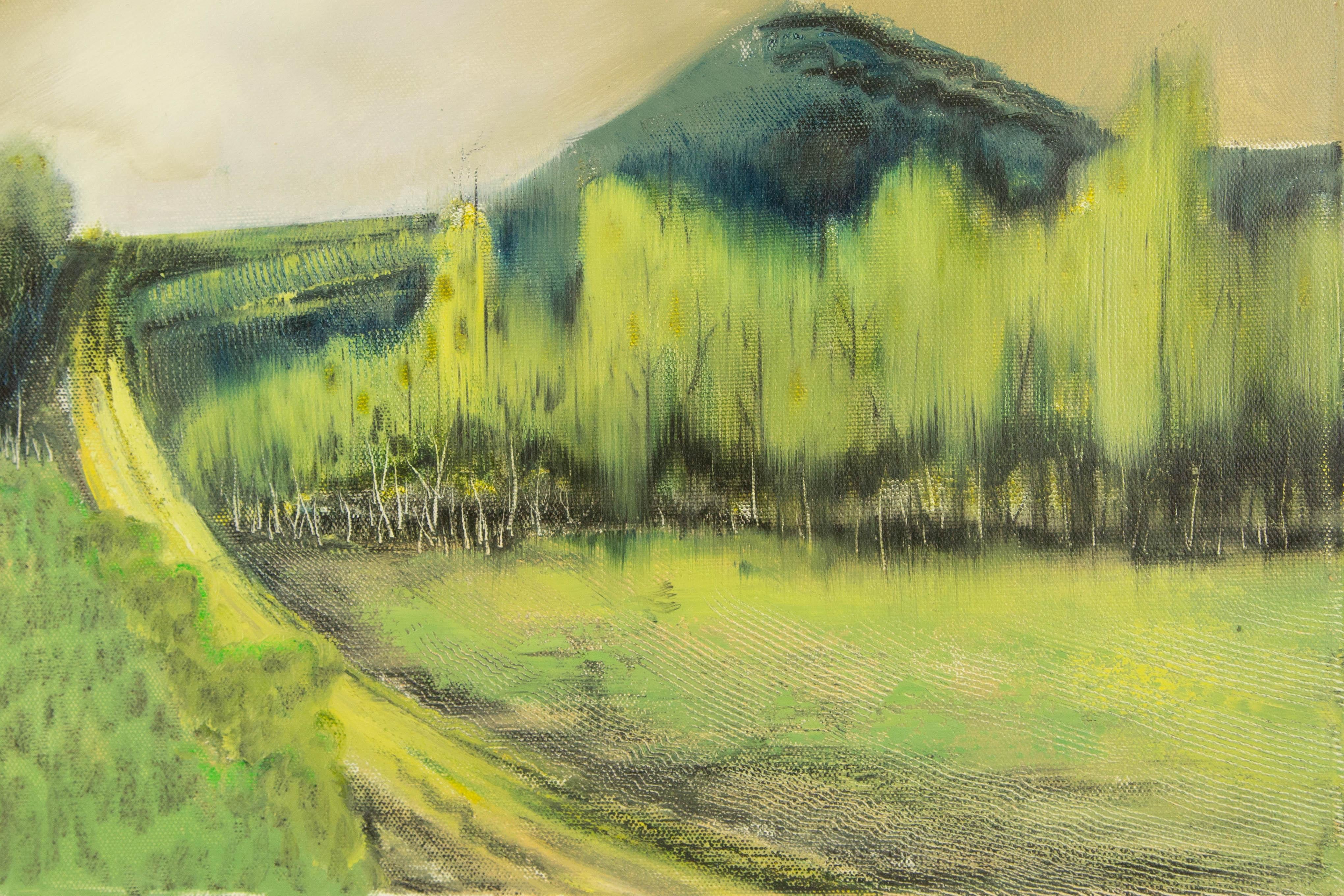 Baihai Zhang Landschaft Original Öl auf Leinwand 