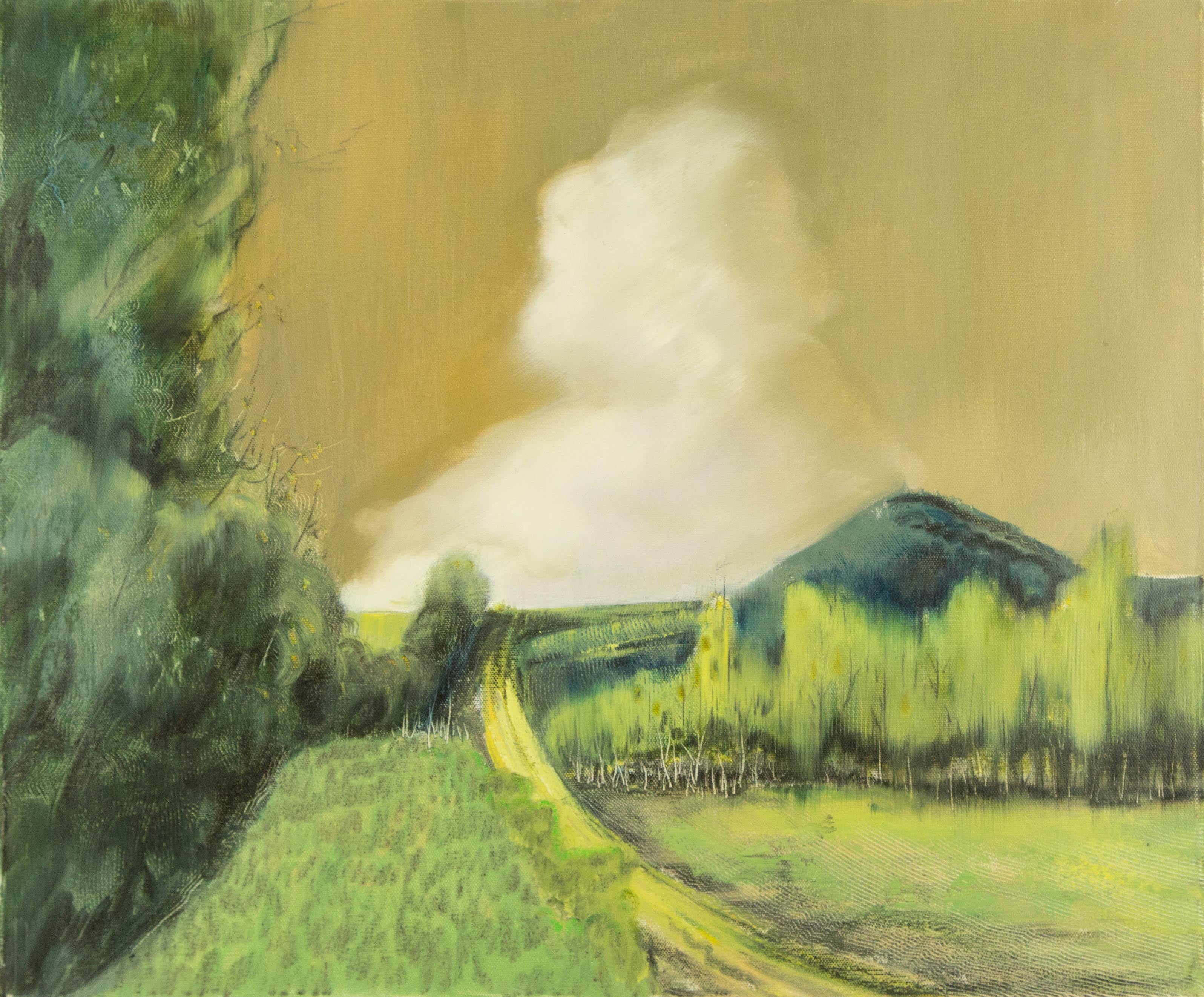 Baihai Zhang Landscape Original Oil On Canvas "Countryside View"