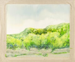 Baihai Zhang Landscape Original Oil On Canvas "Mountain After Rain"