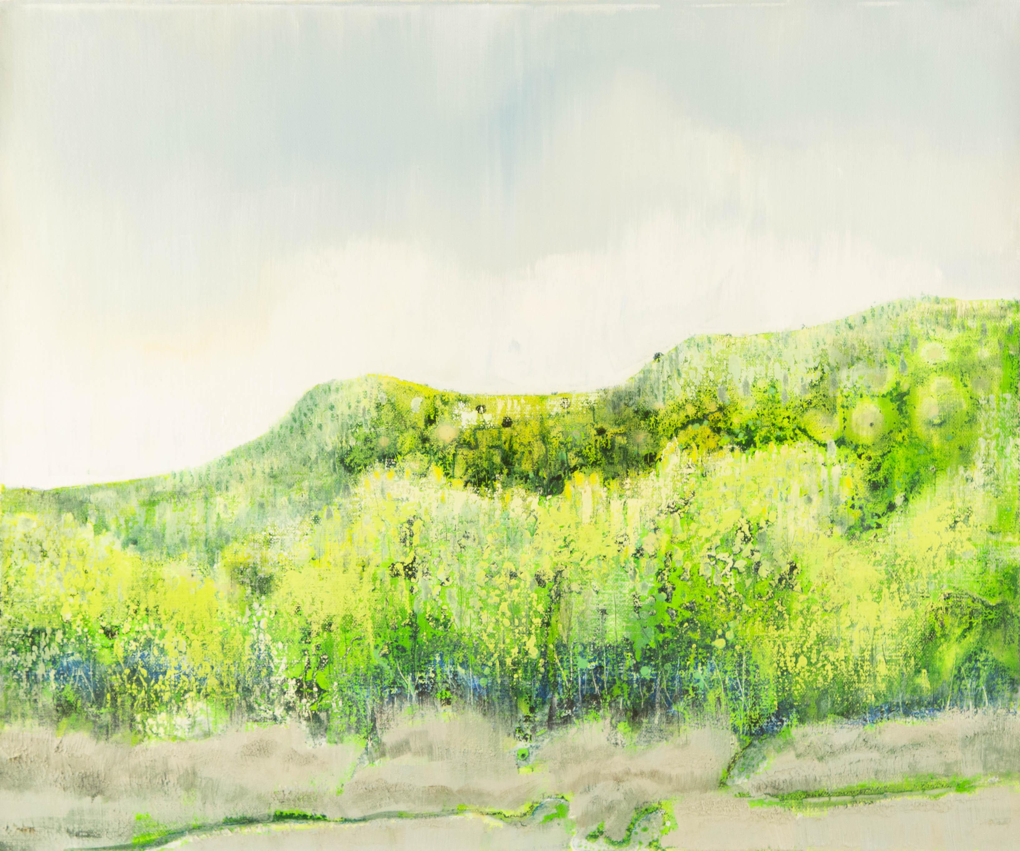 Baihai Zhang Landscape Original Oil On Canvas "Mountain After Rain" (Montagne après la pluie)