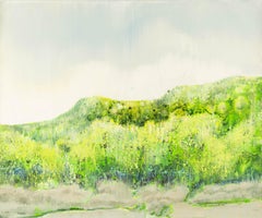 Baihai Zhang Landscape Original Oil On Canvas "Mountain After Rain" (Montagne après la pluie)