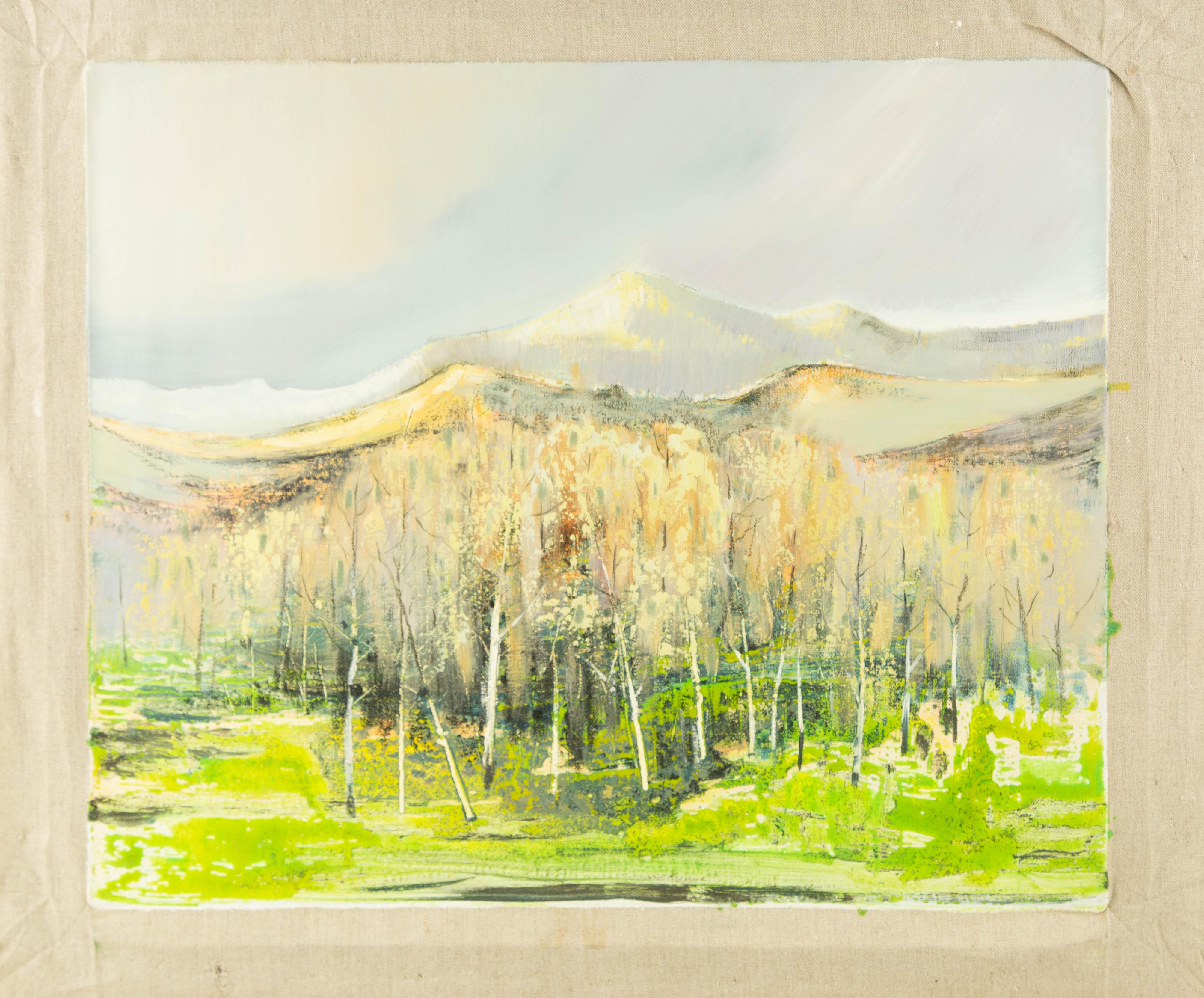 Baihai Zhang Paesaggio originale Olio su tela 