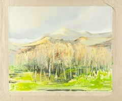 Baihai Zhang Landscape Original Oil On Canvas "Mountains and Greenery"