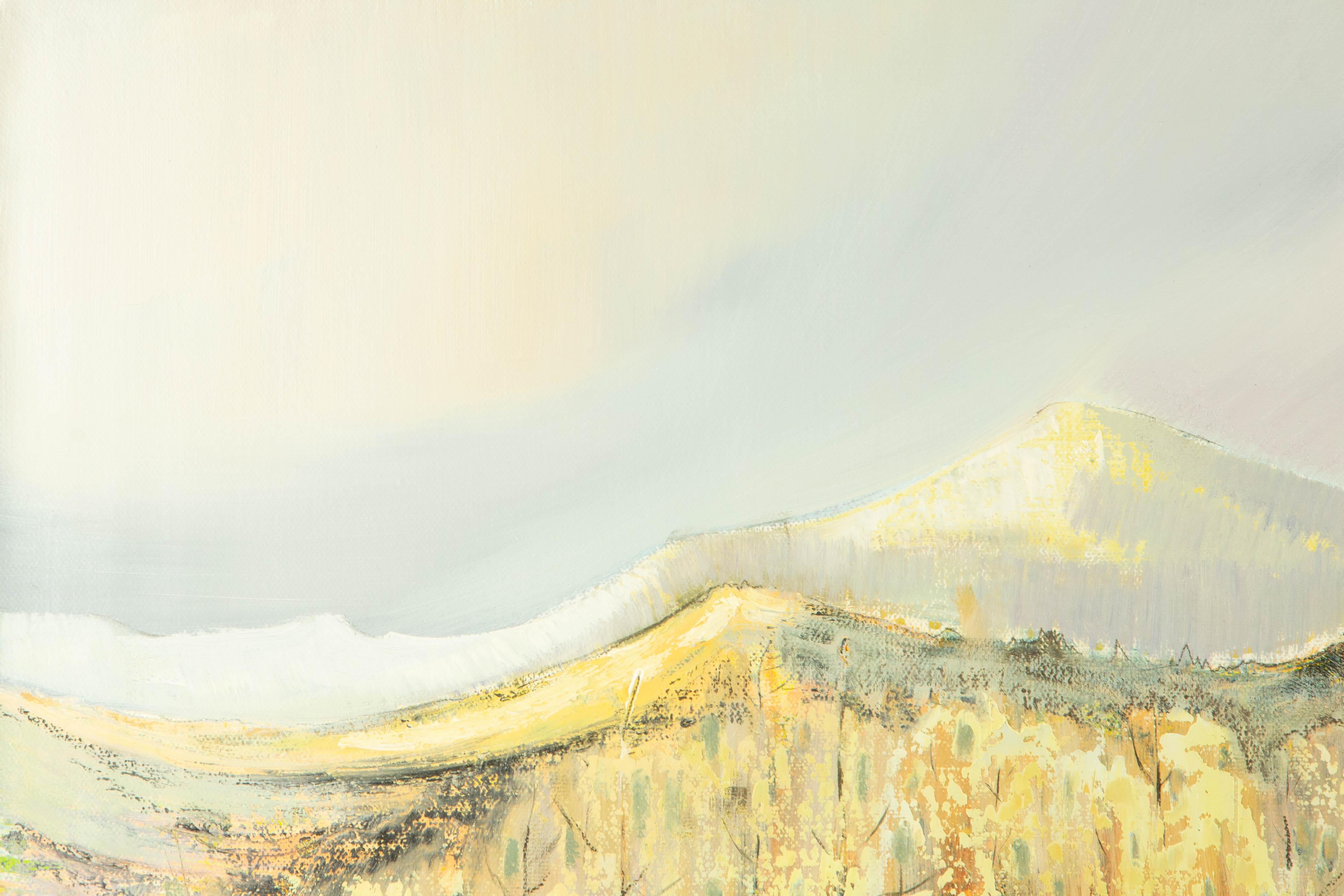 Baihai Zhang Paesaggio originale Olio su tela 