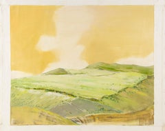 Baihai Zhang Landscape Original Oil On Canvas "Plains"