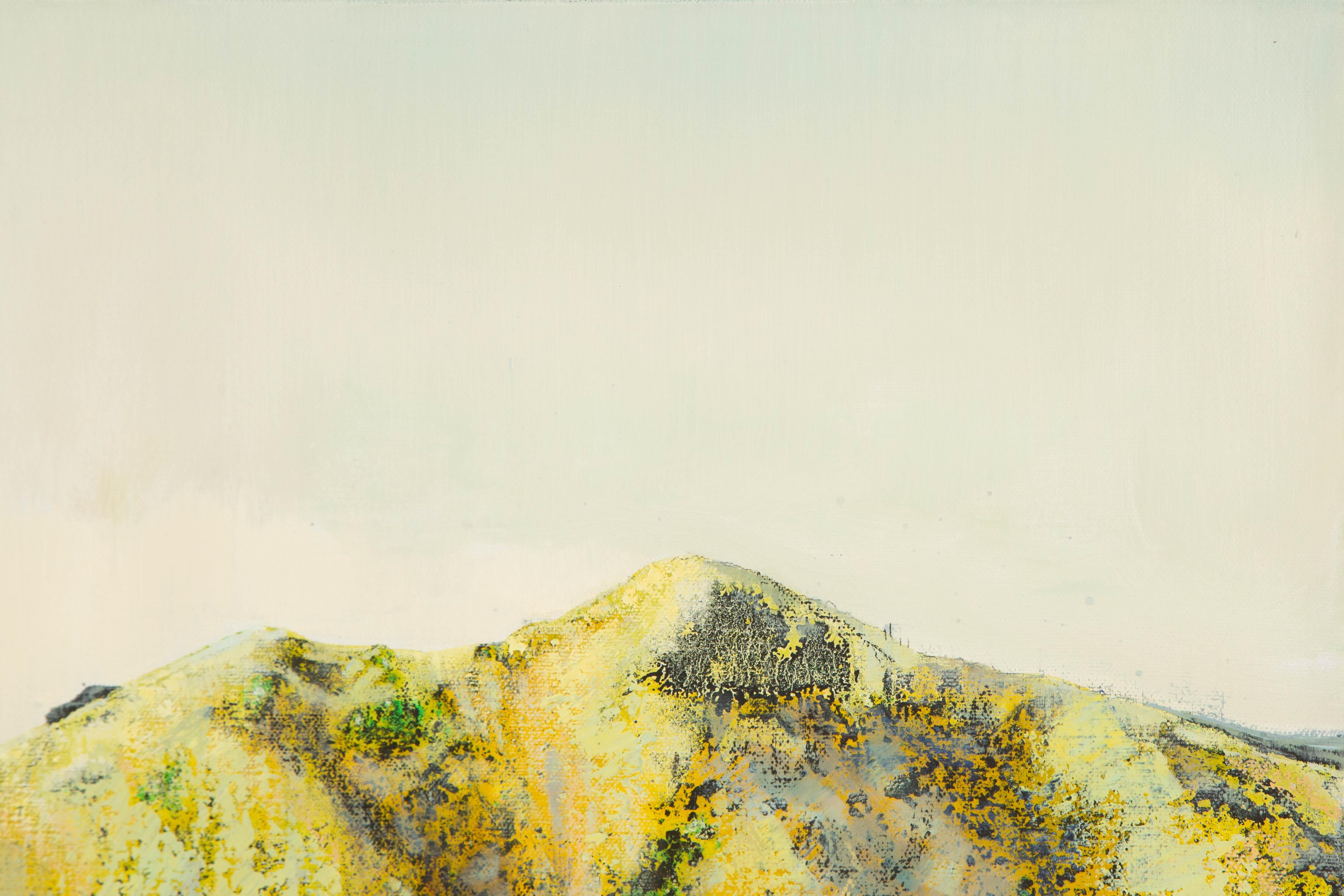 Baihai Zhang Landscape Original Oil On Canvas 