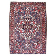 Bakhtiari Rug, Mid 20th Century