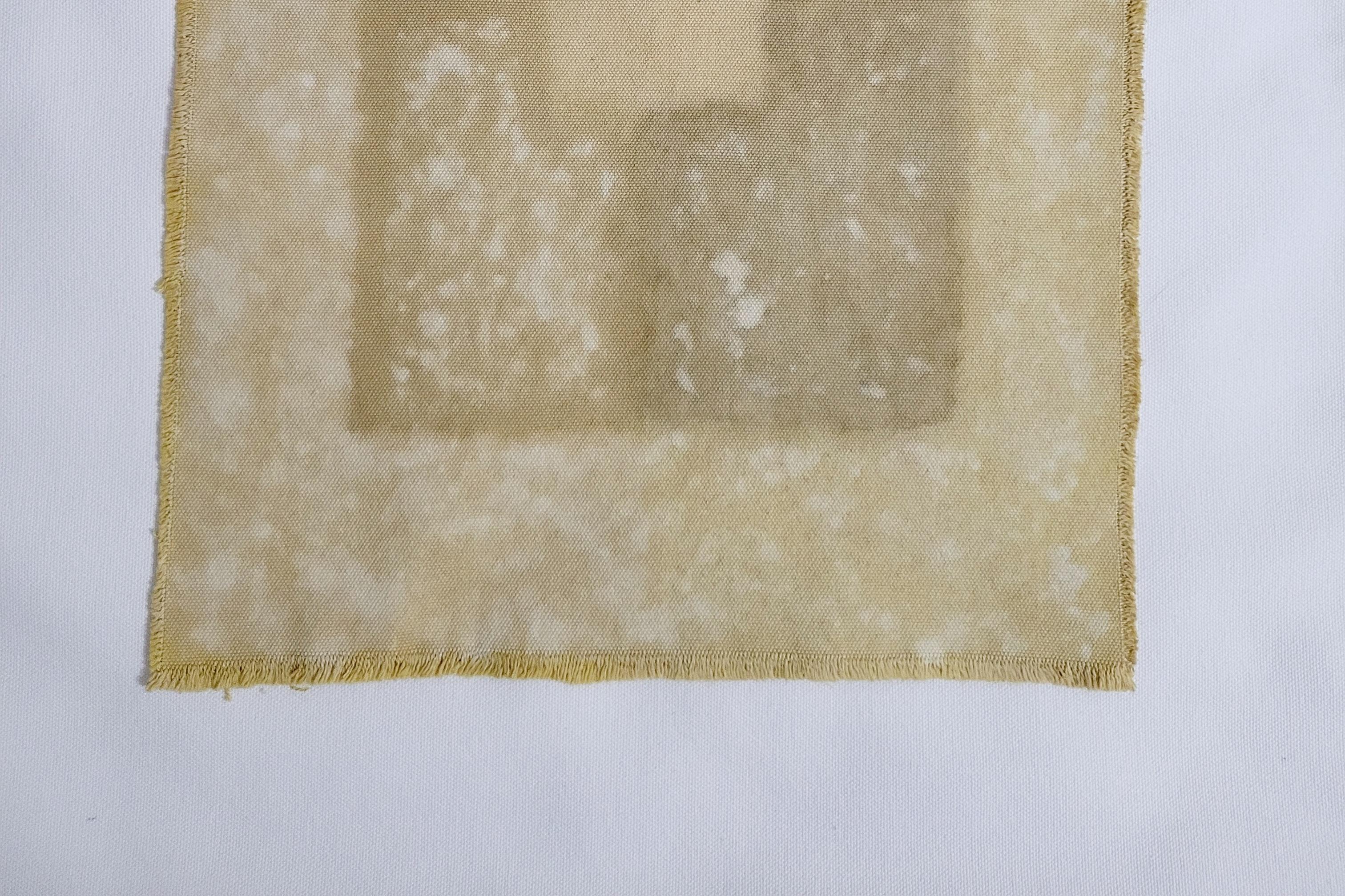 Turco BALANCE (18) - Arte botanica tinta in pianta su tela di cotone in vendita