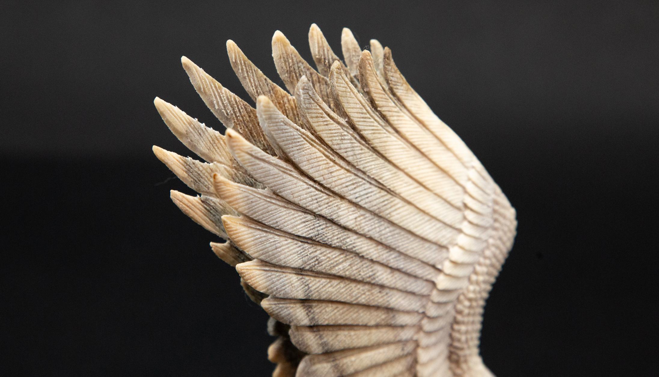 Bald Eagle with Fish Moose Antler Carving In New Condition In New York, NY