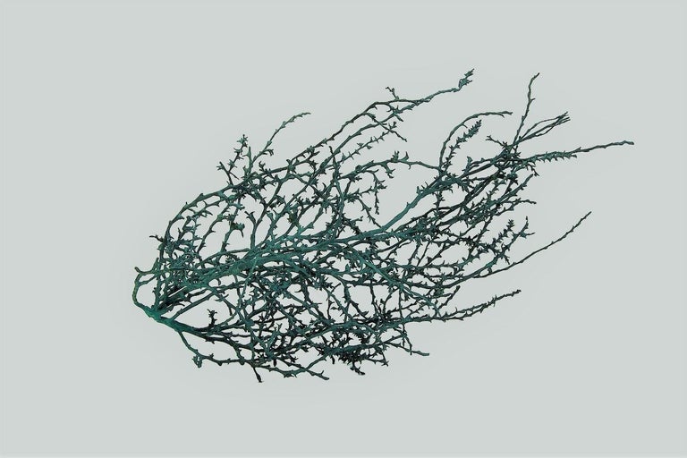 <i></noscript> Bronze Tumbleweed </i>, 21st century, by Bale Creek Allen, offered by Austin Galleries