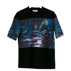 Balenciaga PF14 Maglia con stampa foresta