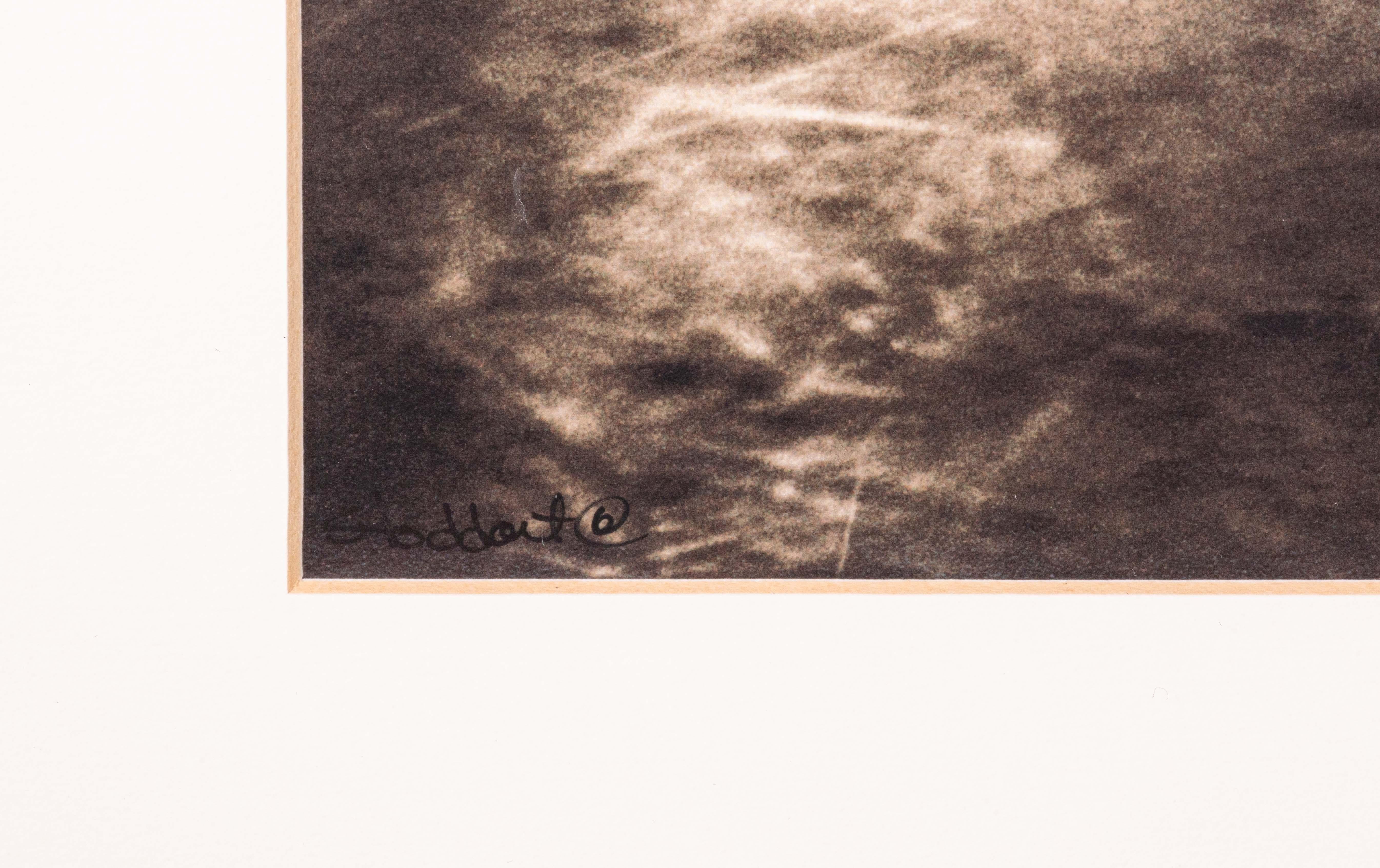 Ballerina Tänzerin Contemporary Fine Art Photography Print Signed Stoddard Gerahmt im Angebot 1