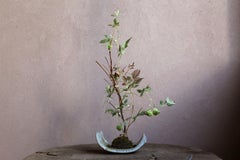 Vigne-ballon de Yumiko Kuwahata / Bonsaïs / wabi-sabi
