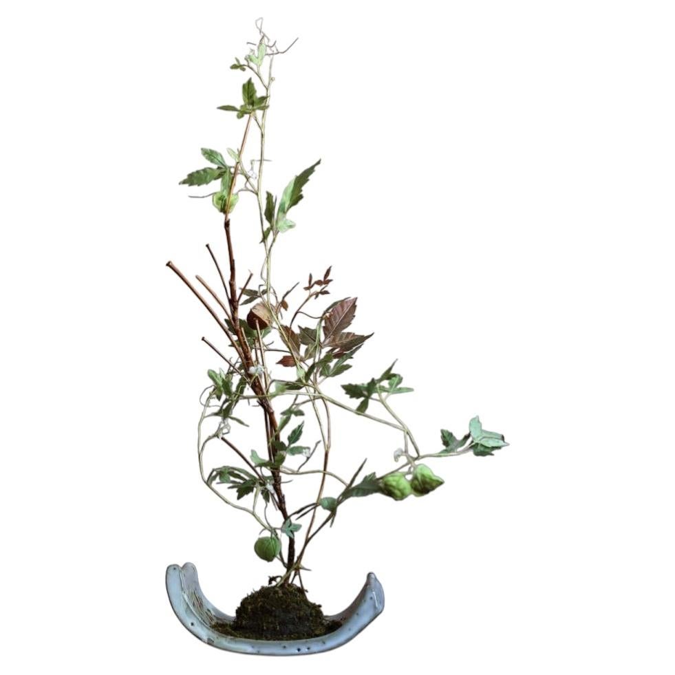 Balloon vine by Yumiko Kuwahata / Bonsai / wabi-sabi For Sale