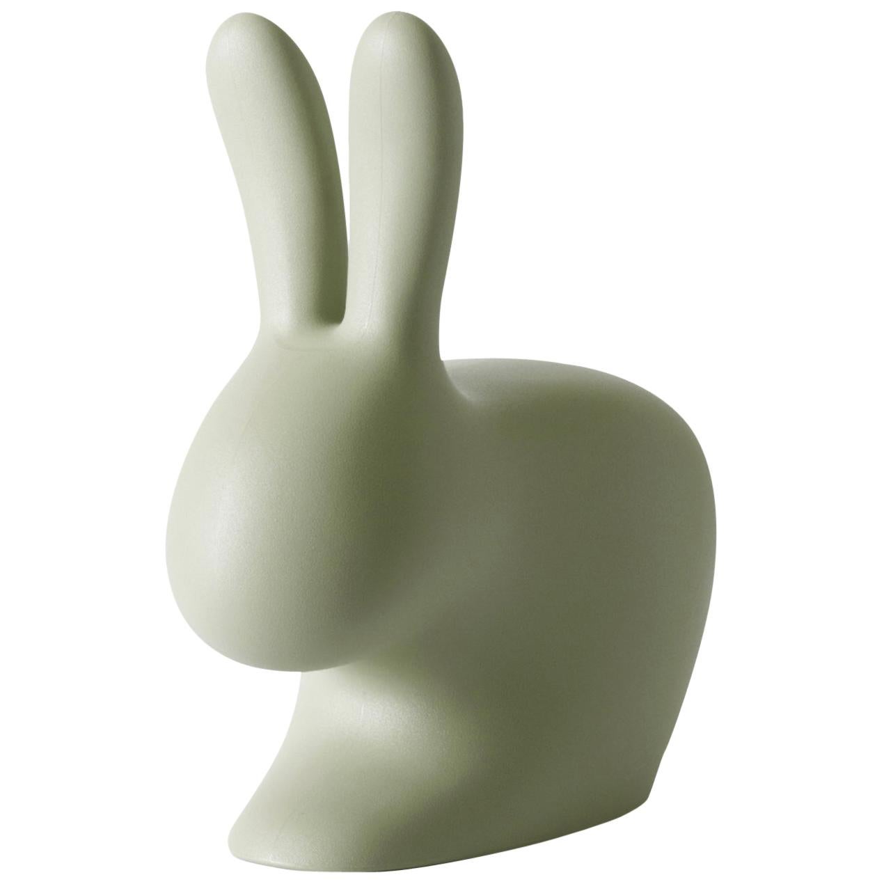 In Stock in Los Angeles, Balsam Green Baby Rabbit Chair by Stefano Giovannoni