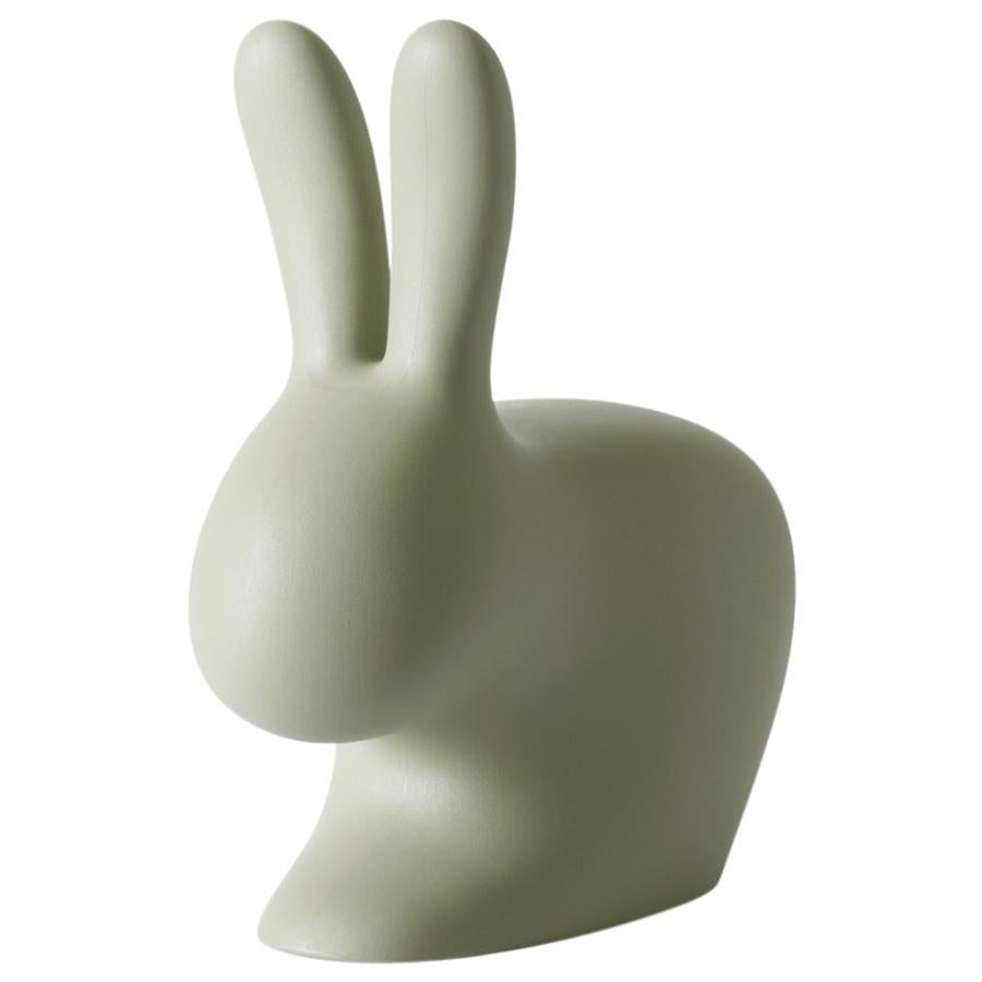 Balsam Green Rabbit Chair by Stefano Giovannoni For Sale