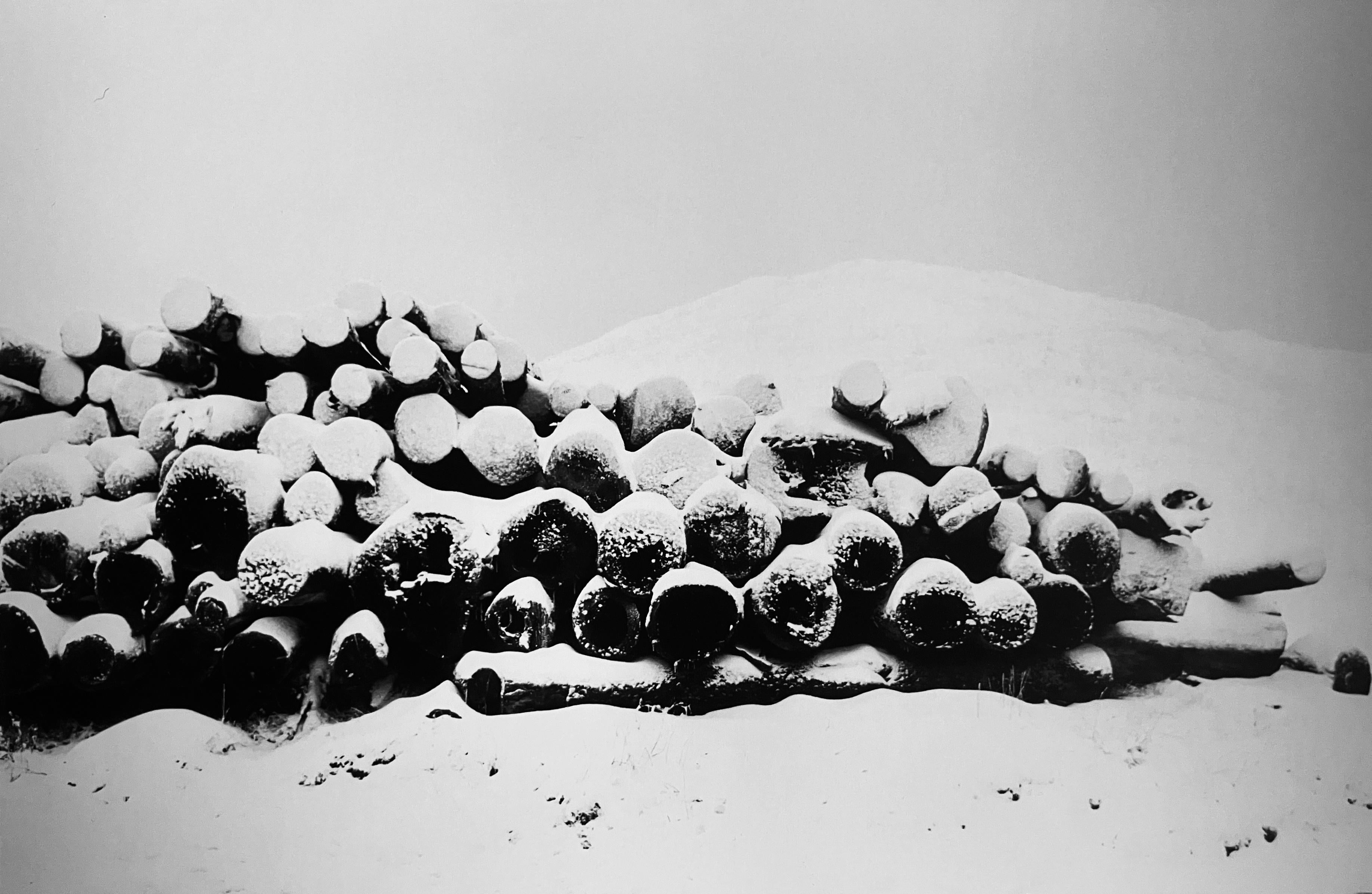 Balthasar Burkhard  Black and White Photograph - Col de la Croix (Baumstämme im Neuschnee)
