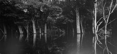 Rio Negro