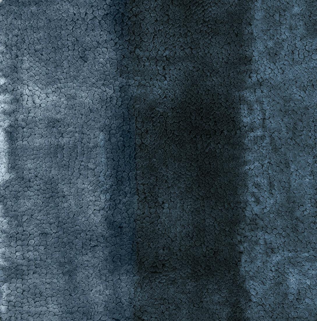 The Baltic Sea, located in Scandinavia, has several water types & different blue shades that compose it. BALTIC rug really embodies the essence of the Baltic Sea, having a blue color gradient. This versatile design rug is a harmonious piece that