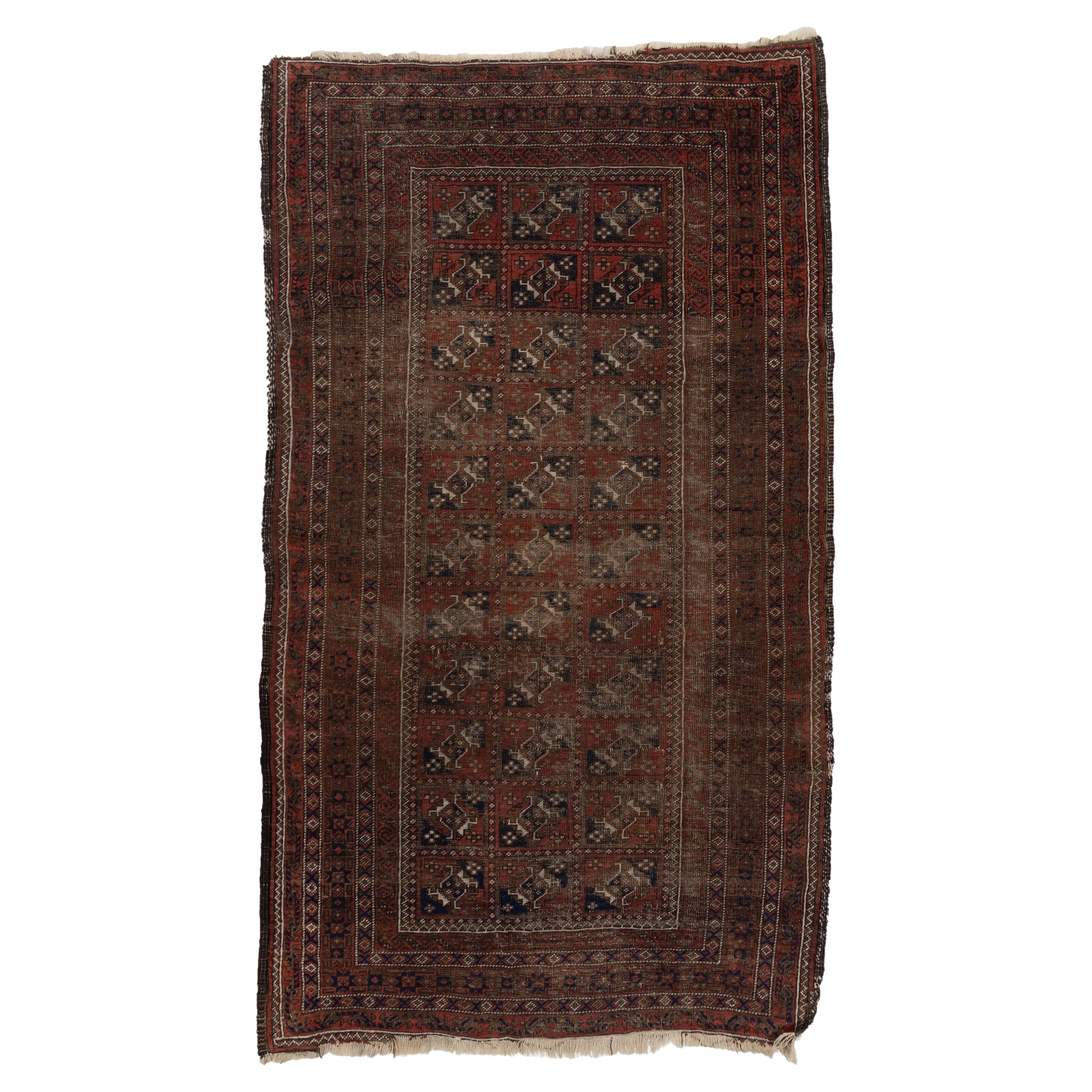 Baluch S2611
