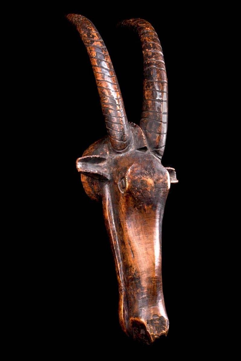 Very old African carved wood head crest in the form of a long horned antelope with a very long snout with drilled nostrils and tongue showing between parted jaws. Two small eyes are carved flanking the flat forehead, ears extend to the sides and the