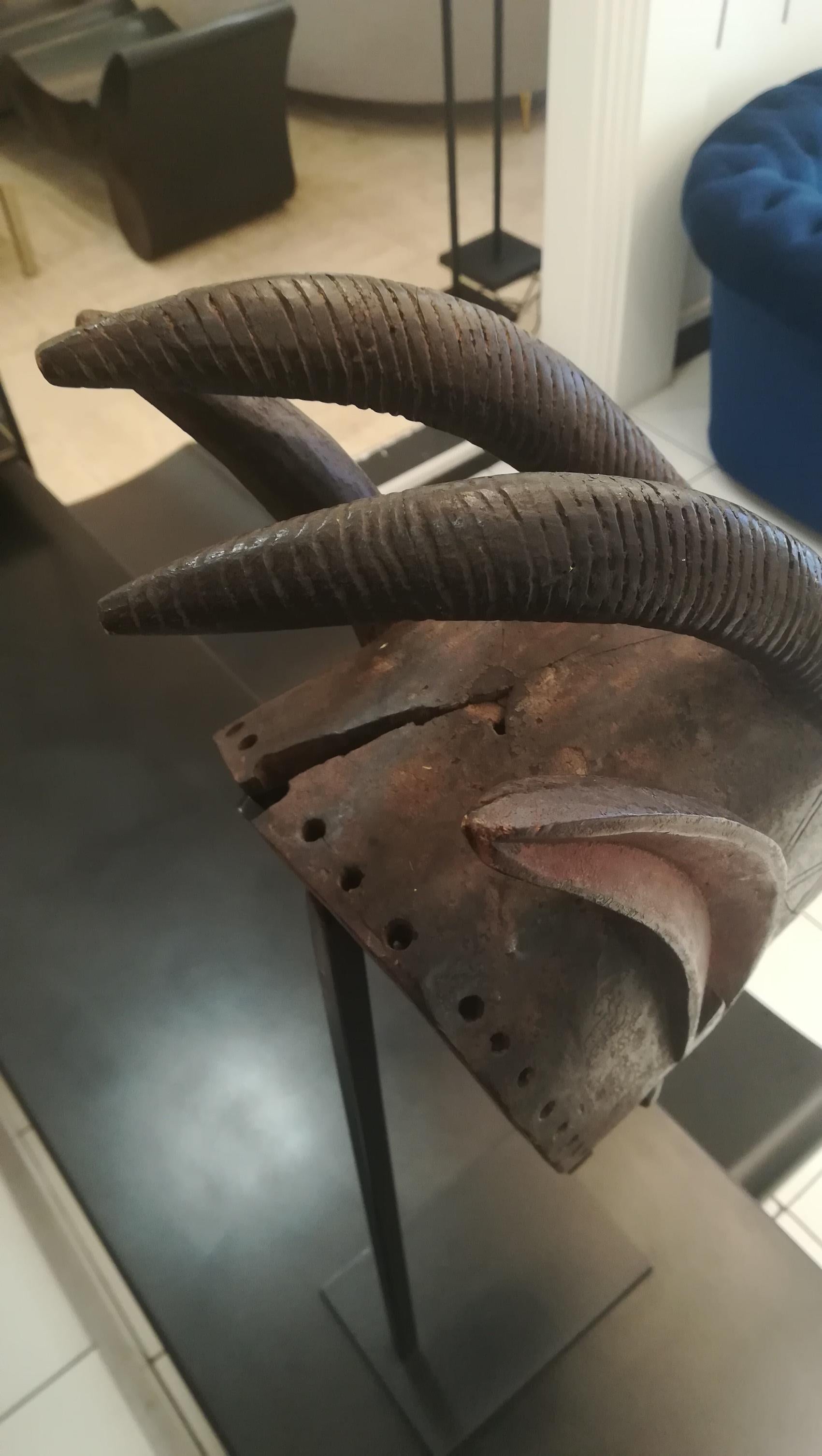 Bambara Buffalo Head  Bambara Mask, Mali, End of the 19th Century 3